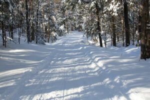 Snowmobile,And,Ski,Tracks,Along,The,Trans,Canada,Trail,Through